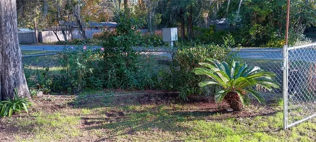 a view of a palm plant that is in front of a house