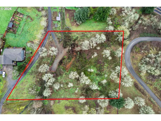 a view of a yard with a tree