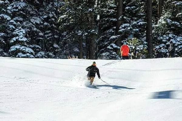 a bird view of house