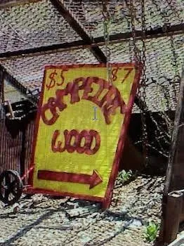 a house that has a tree in front of it