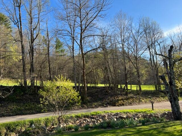 1091 Sandy Road Mountain City, TN 37683 - Photo 17 of 28 IMG_0228