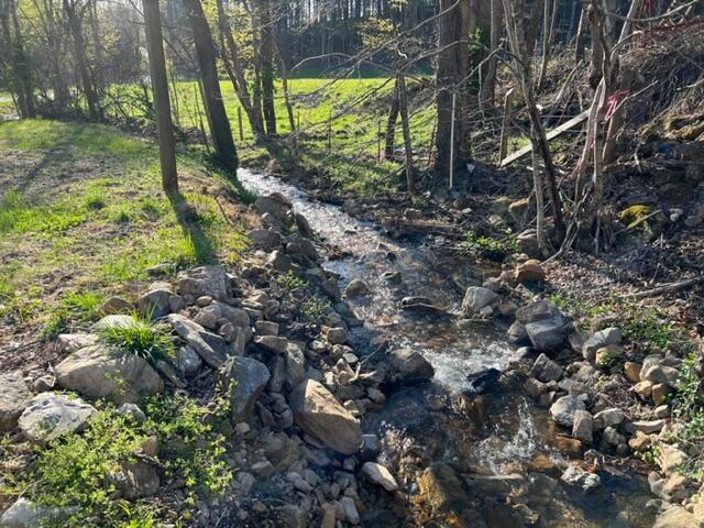 1091 Sandy Road Mountain City, TN 37683 - Photo 2 of 28 IMG_0205
