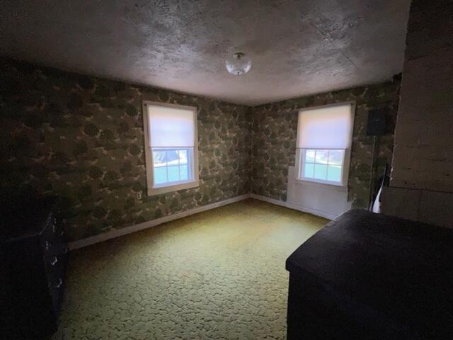 1091 Sandy Road Mountain City, TN 37683 - Photo 23 of 28 IMG_0219