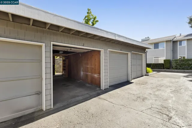 a view of backyard with plants