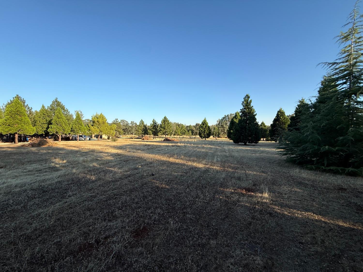 5000 Wilson Hill Road Manton, CA 96059 - Photo 58 of 63