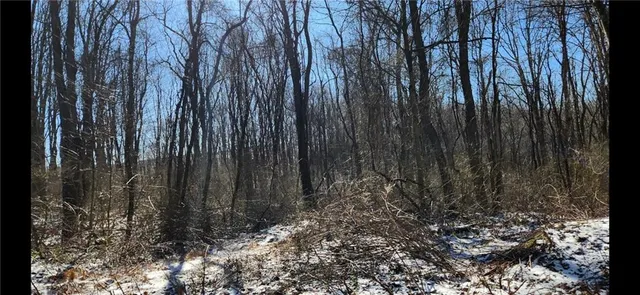 $550,000 | 0 Nebo Road, Champion, PA 15622