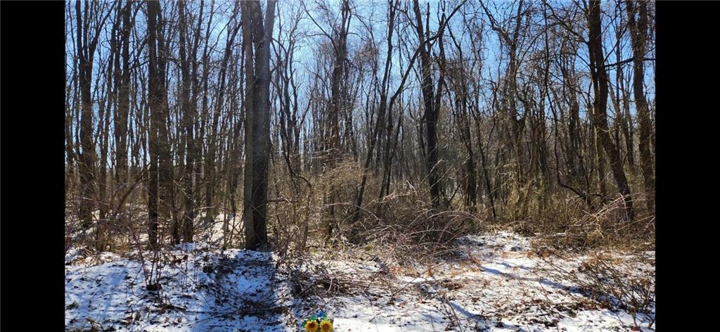 0 Nebo Road Champion, PA 15622 - Photo 4 of 6