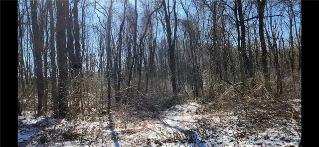 $550,000 | 0 Nebo Road, Champion, PA 15622