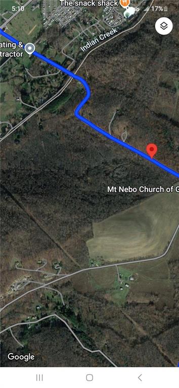 0 Nebo Road Champion, PA 15622 - Photo 6 of 6