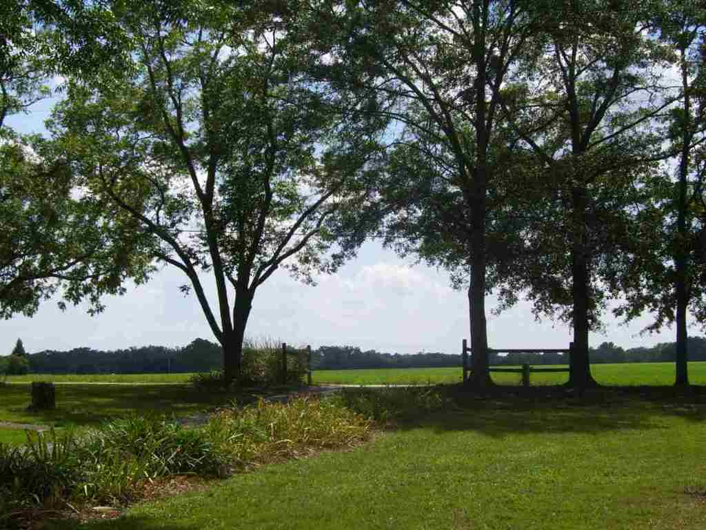 468 McClure Road Anderson, SC 29626 - Photo 3 of 35