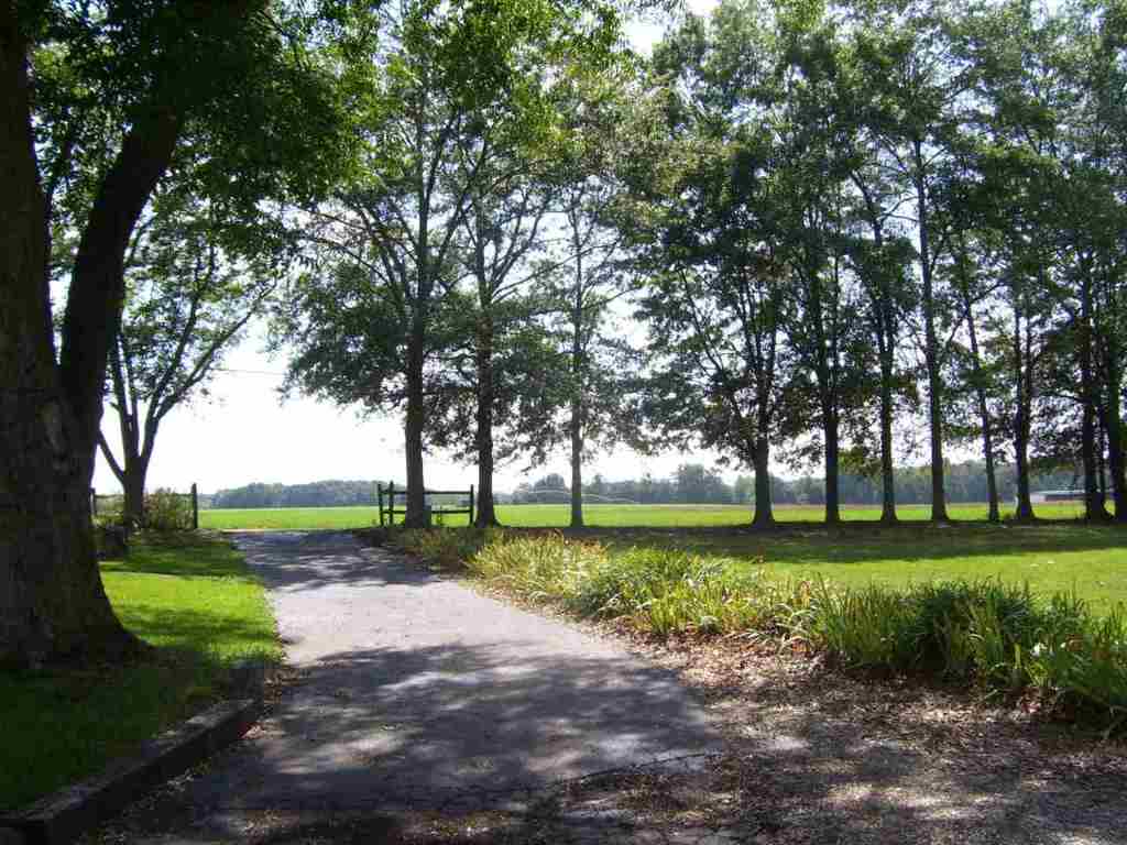 468 McClure Road Anderson, SC 29626 - Photo 35 of 35