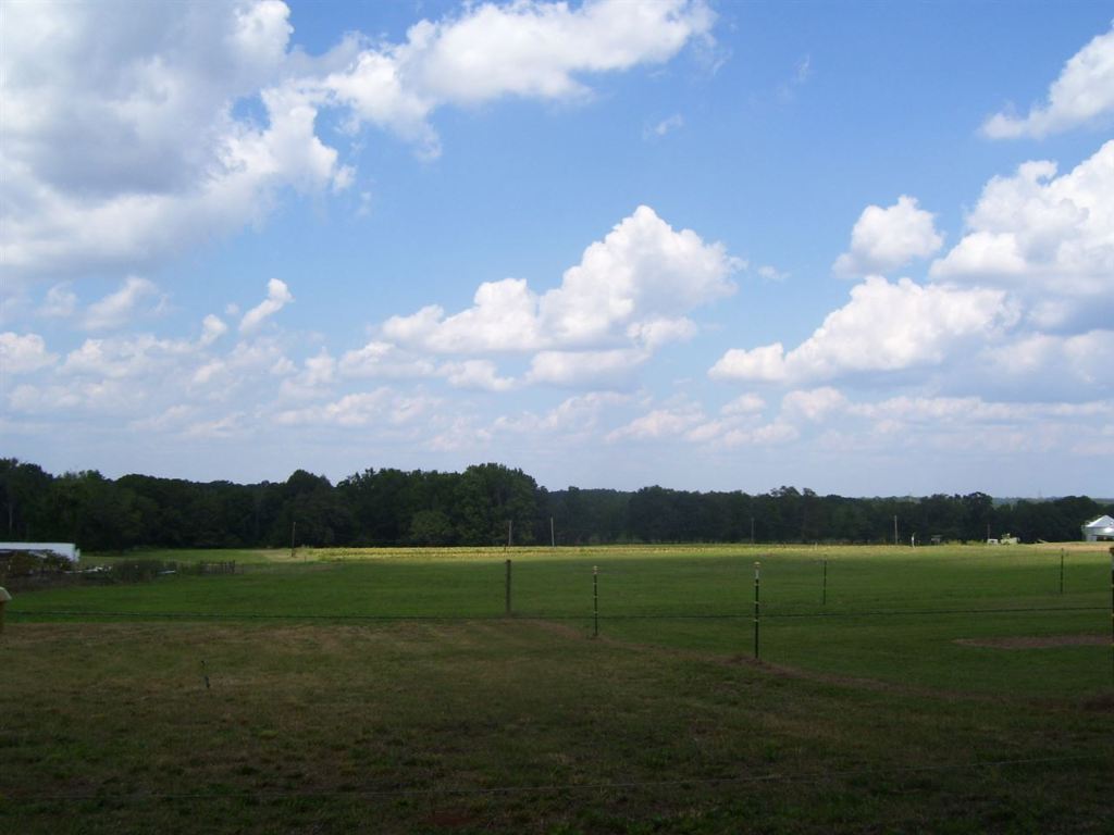 468 McClure Road Anderson, SC 29626 - Photo 6 of 35