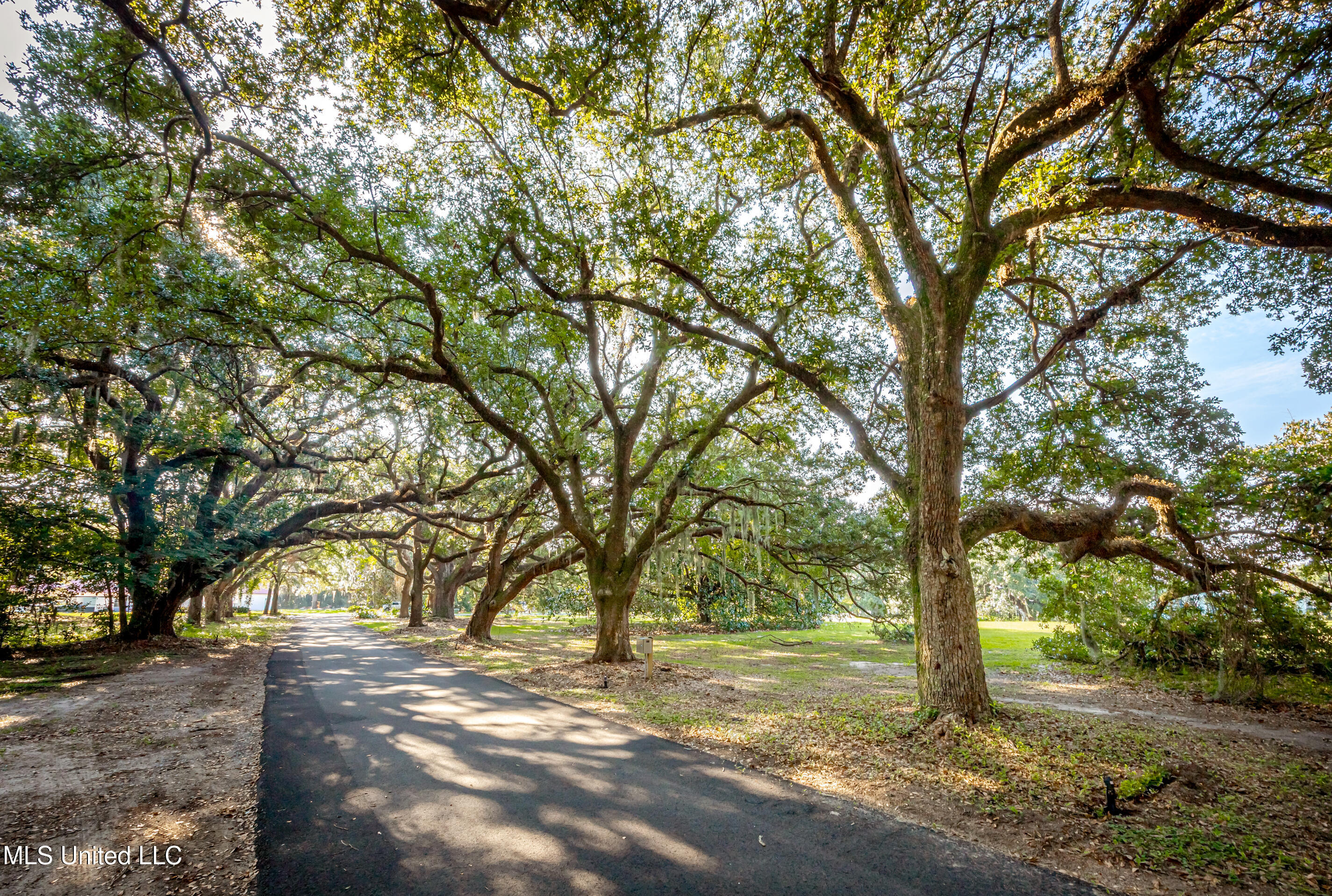 Lot 2 Pointe Aux Chenes Road Ocean Springs, MS 39564 - Photo 11 of 20 IMG_7344