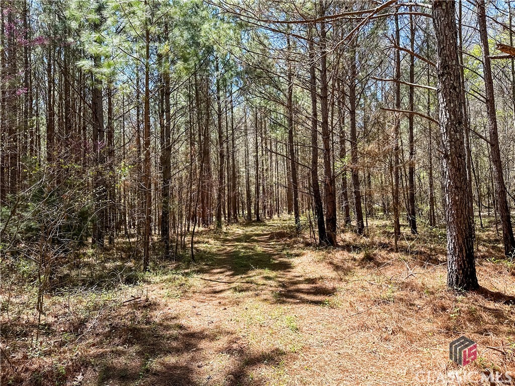 855 Steven's Grove Church Road Lexington, GA 30648 - Photo 25 of 51 Road through front portion of the property