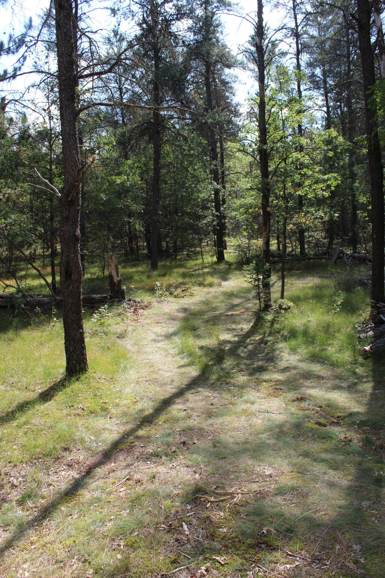 3149 West 5 Mile Road Grayling, MI 49738 - Photo 22 of 31 Gallery Image 22