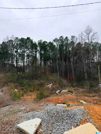 $18,000 | 0 Teal Drive, Hayden, AL 35079