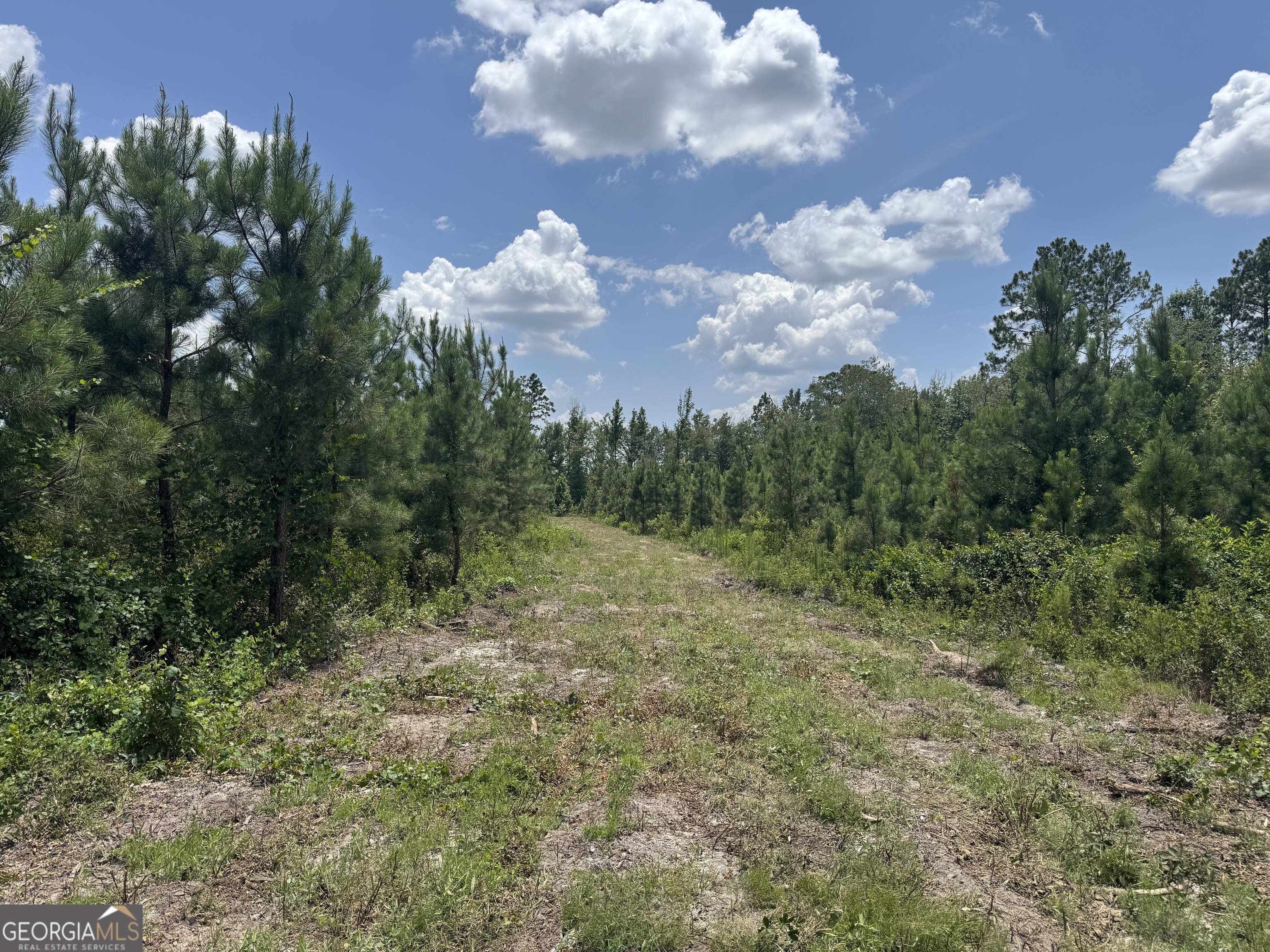 477 Keens Crossing Road East Dublin, GA 31027 - Photo 11 of 12