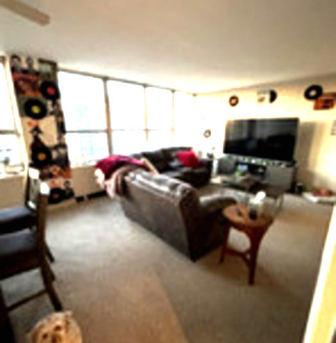 655 West Irving Park Road, Unit 1104 Chicago, IL 60613 - Photo 13 of 16 a living room with furniture and a floor to ceiling window