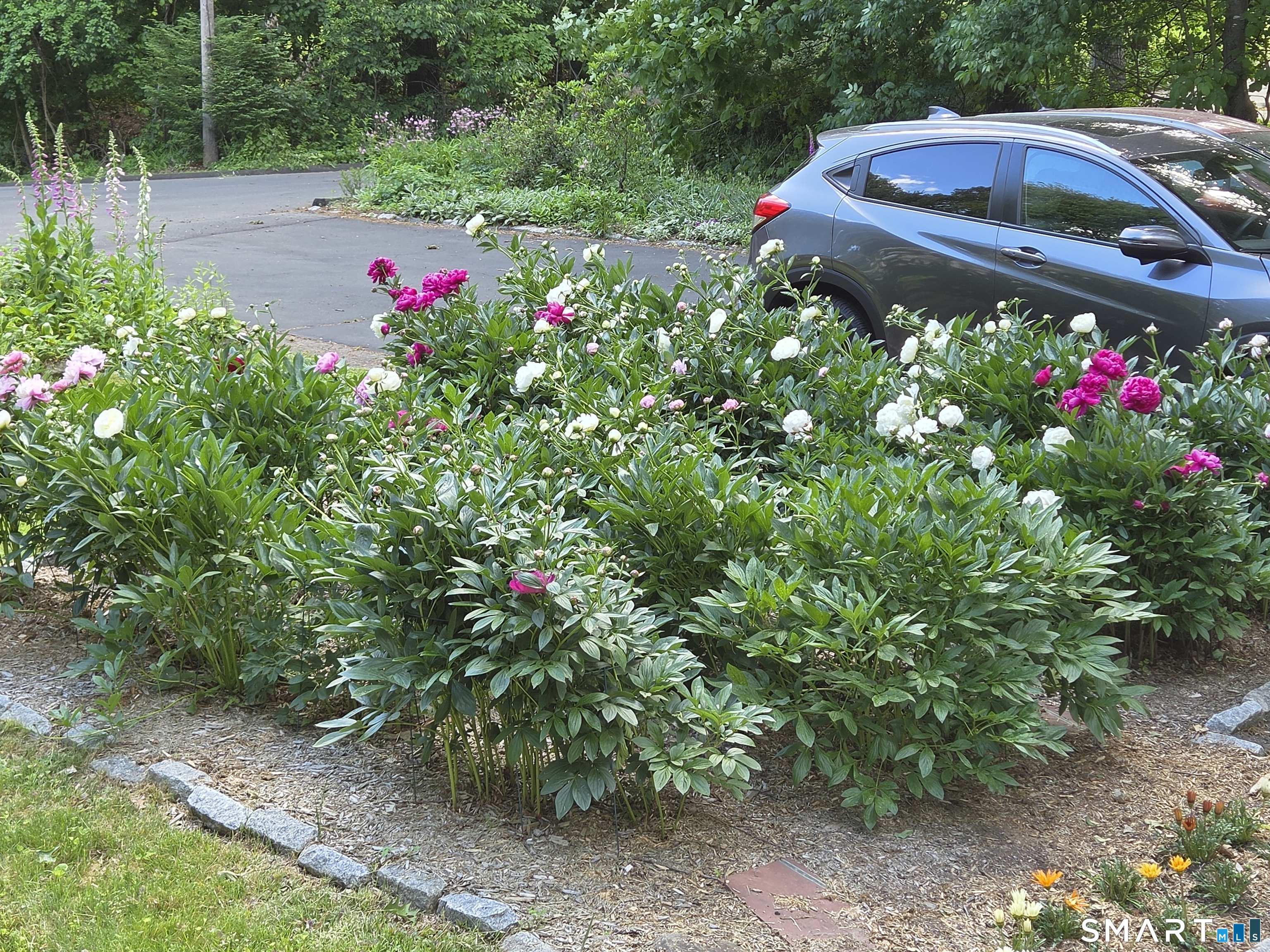 25 Mountain View Road Bethany, CT 06524 - Photo 24 of 27 Beautiful established flowers line the driveway.