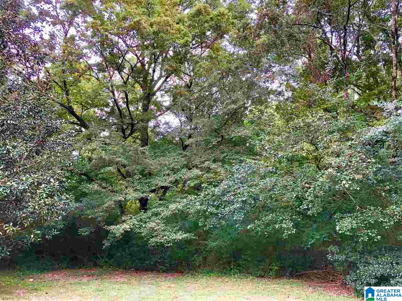6327 Zeigler Road Southwest Leeds, AL 35094 - Photo 20 of 21