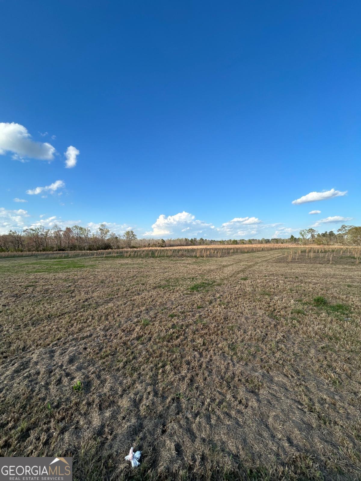 0 Scotts Store Road Millen, GA 30442 - Photo 4 of 13 Gallery Image 4