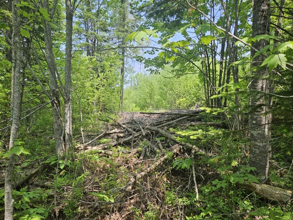 2016 Hudson Road Hudson, ME 04449 - Photo 17 of 36
