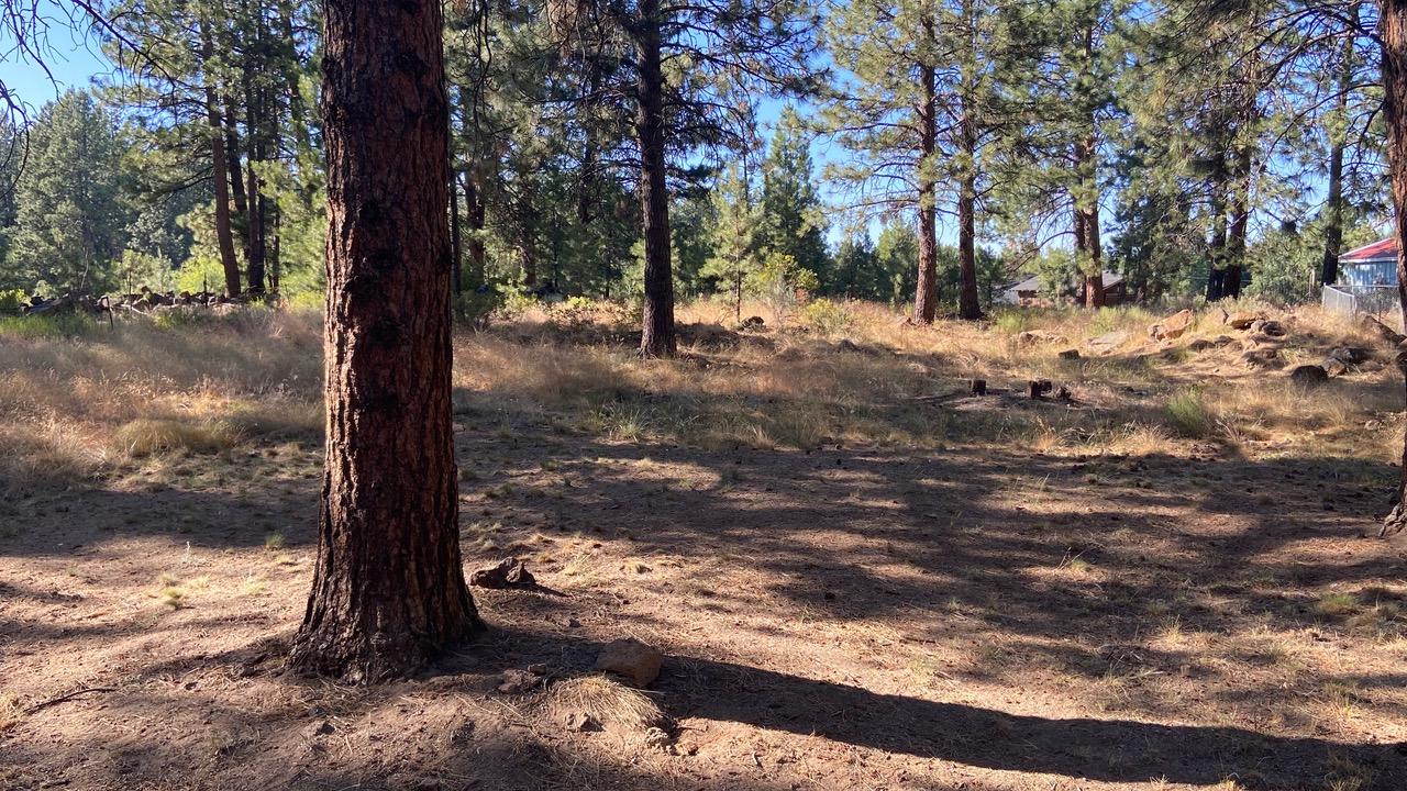19170 Baker Road Bend, OR 97702 - Photo 23 of 23 IMG_3860