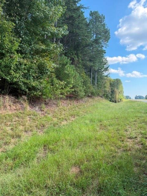 0 Fairview Road Ball Ground, GA 30107 - Photo 4 of 11 Gallery Image 4
