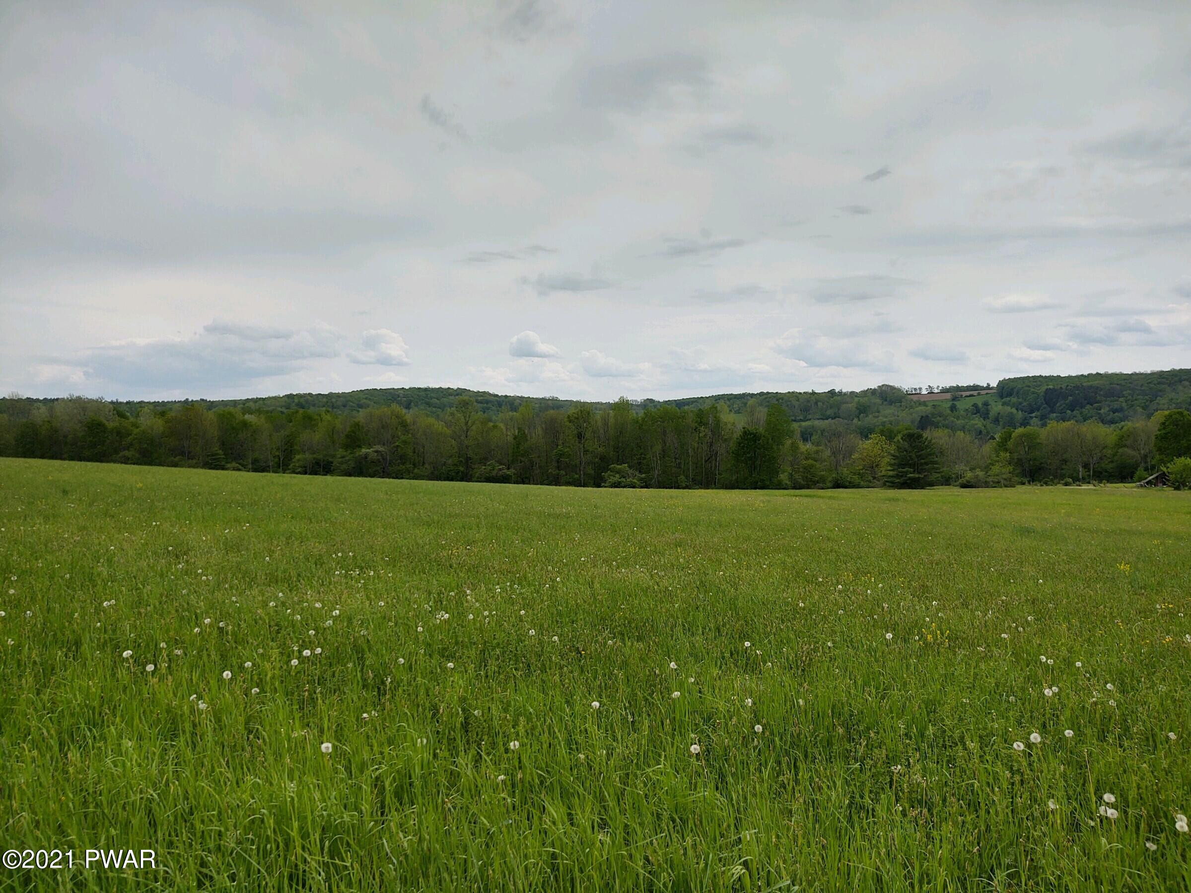 Joslyn Road Guilford, NY 13780 - Photo 5 of 11