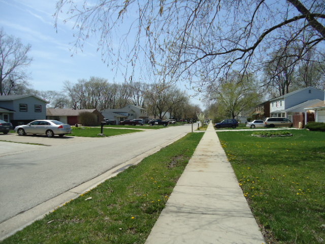 550 Redwood Road Bolingbrook, IL 60440 - Photo 2 of 14 a view of park with bench and trees