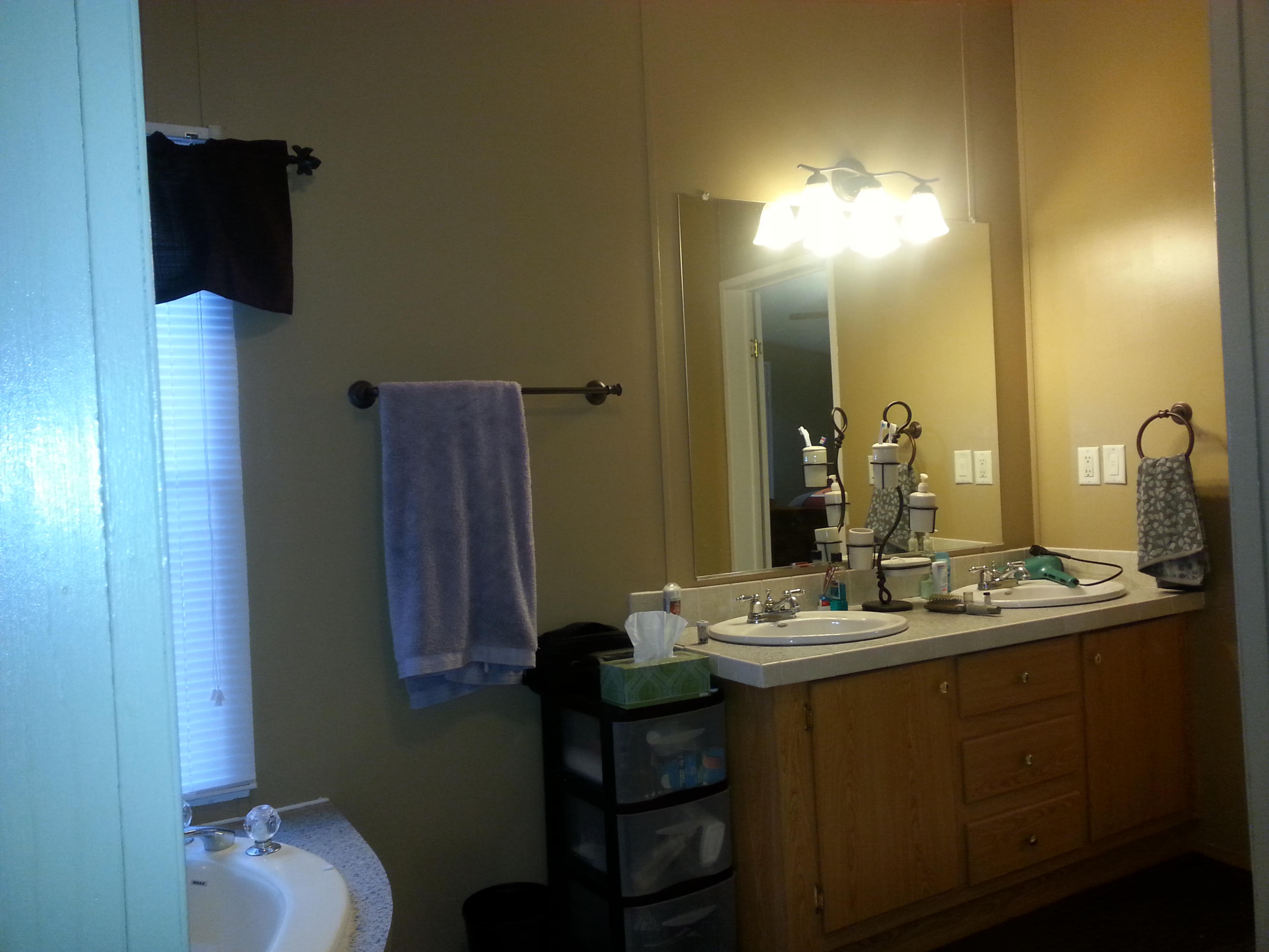 4572 Altice Road Moneta, VA 24121 - Photo 12 of 17 Master Bath