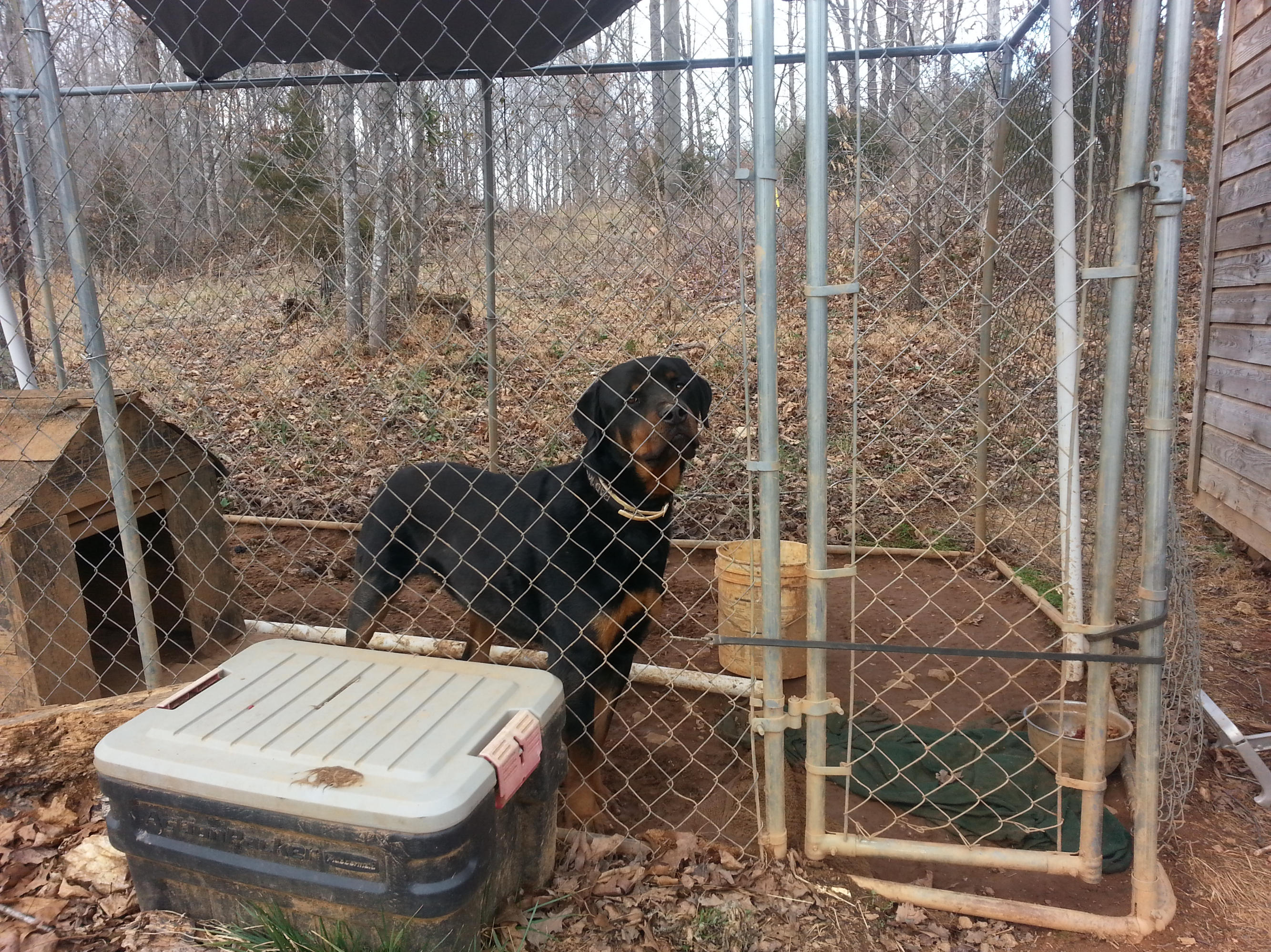 4572 Altice Road Moneta, VA 24121 - Photo 16 of 17 Kennel can convey with property.