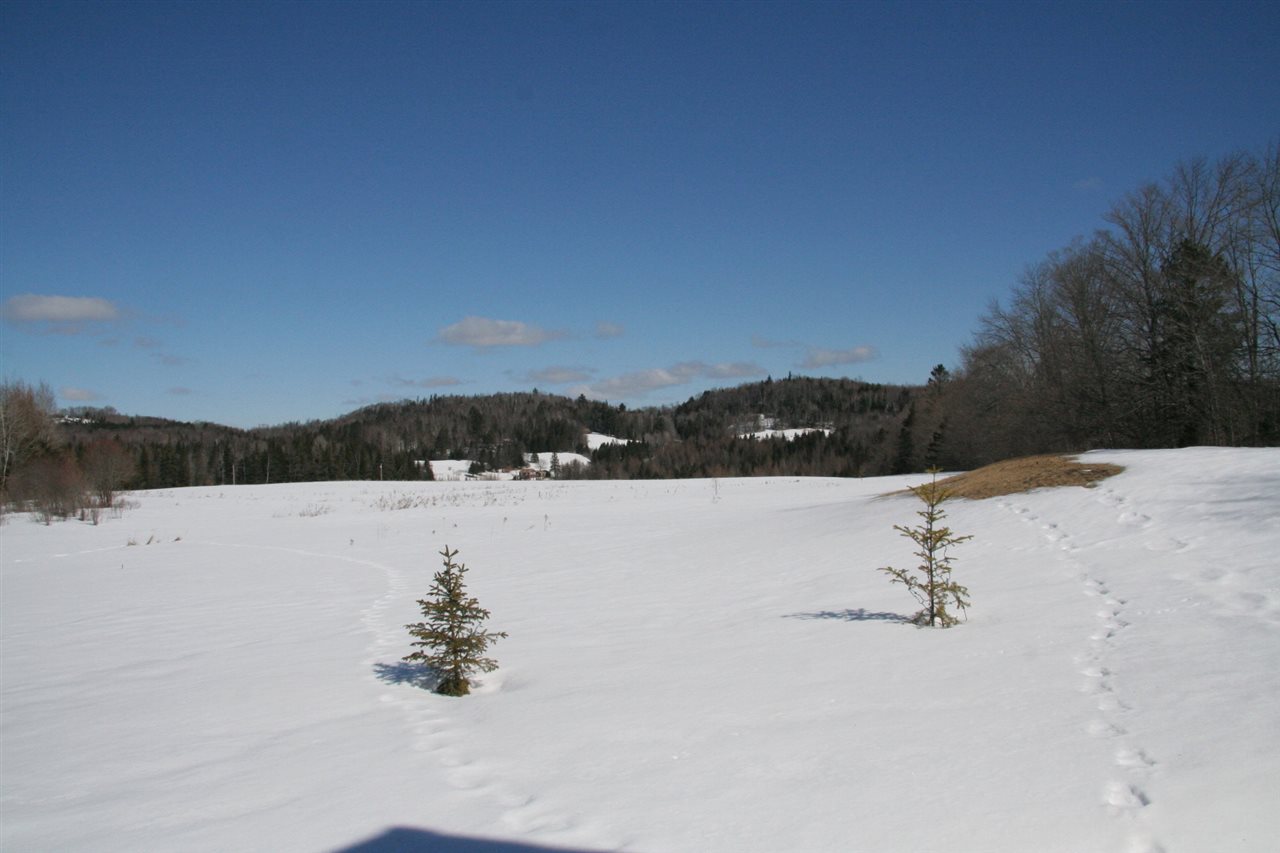 2183 Peak Road Wheelock, VT 05851 - Photo 11 of 12 Gallery Image 11