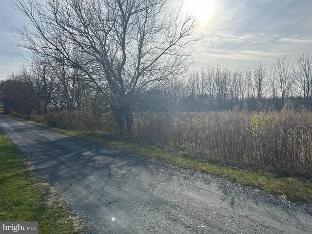 a view of a dry yard with trees