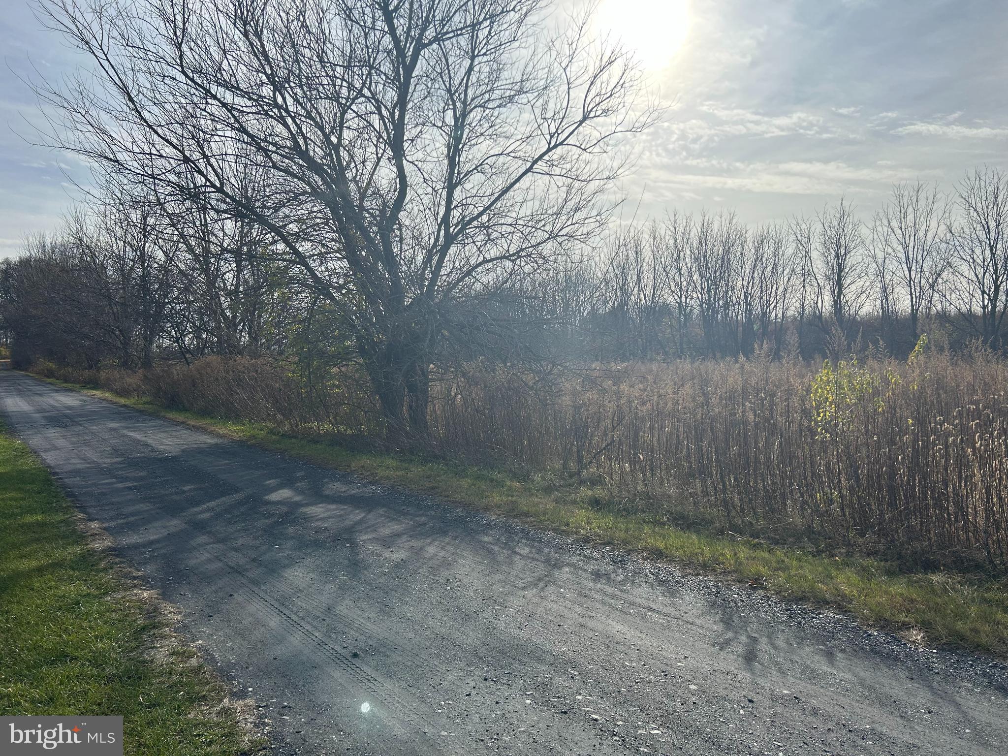 Jade Lane Bath, PA 18014 - Photo 12 of 15 a view of a yard with a tree
