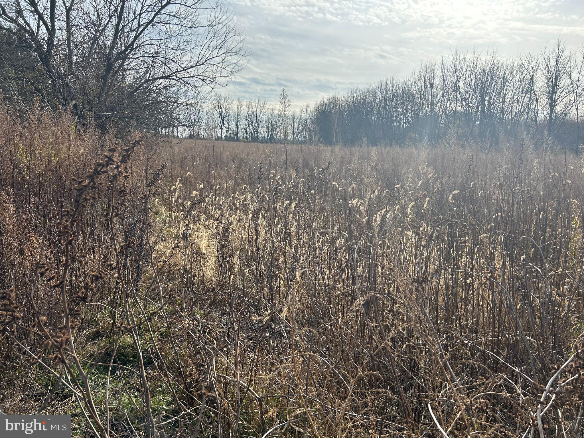 Jade Lane Bath, PA 18014 - Photo 13 of 15 a view of river covered with snow in back