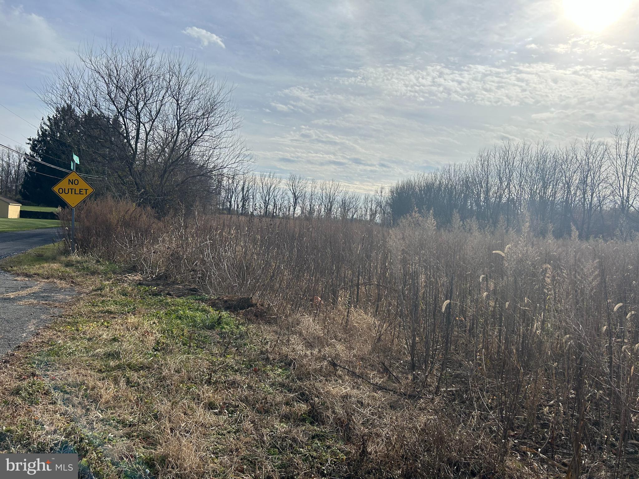 Jade Lane Bath, PA 18014 - Photo 2 of 15 a backyard of a house with lots of green space