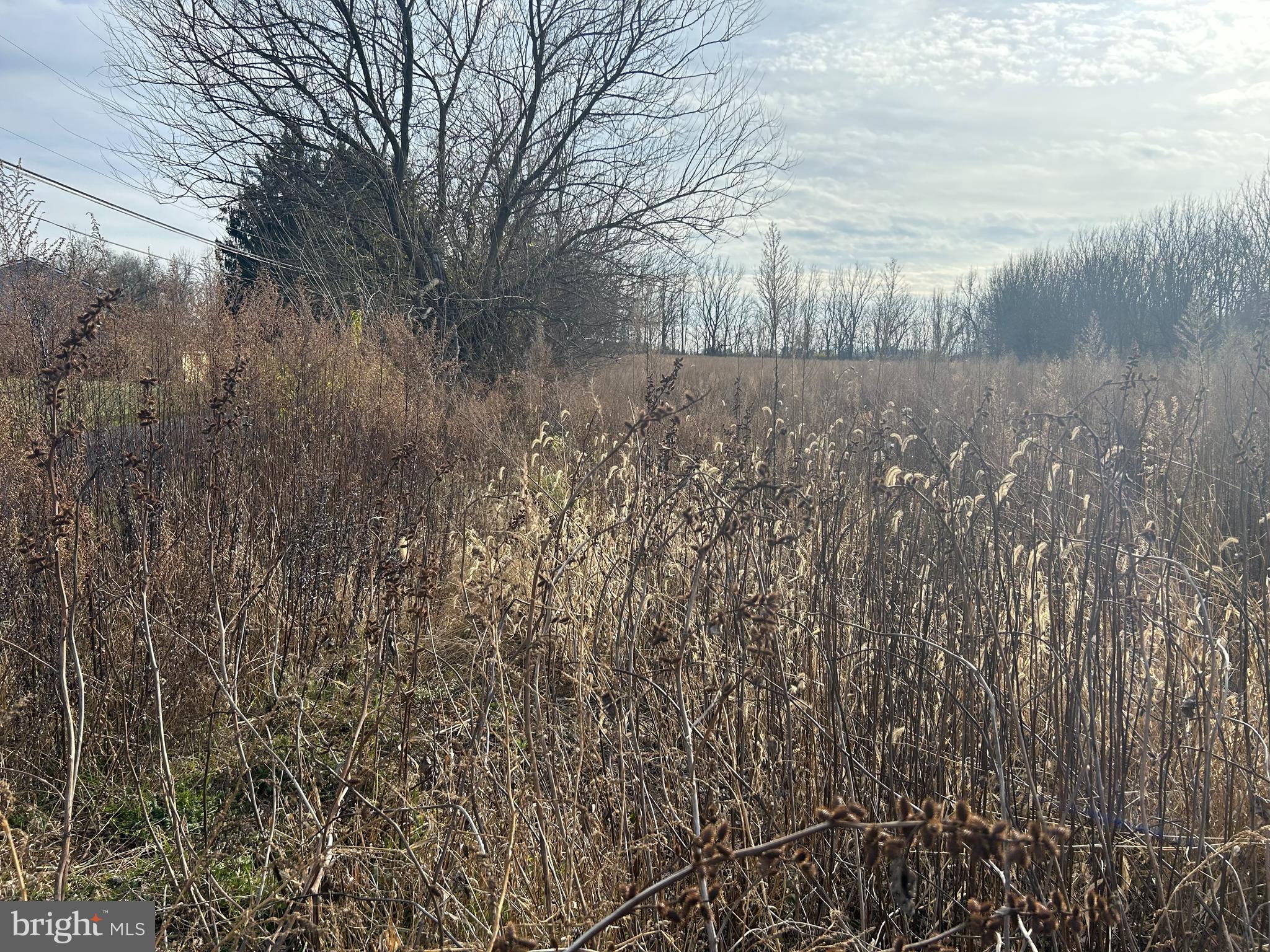 Jade Lane Bath, PA 18014 - Photo 7 of 15 a view of backyard with green space