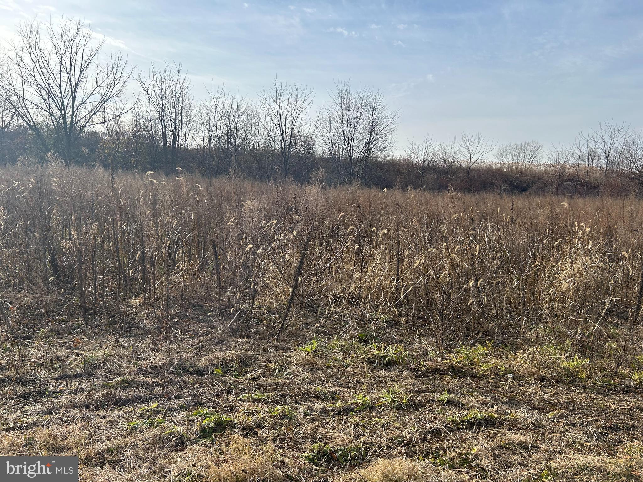 Jade Lane Bath, PA 18014 - Photo 8 of 15