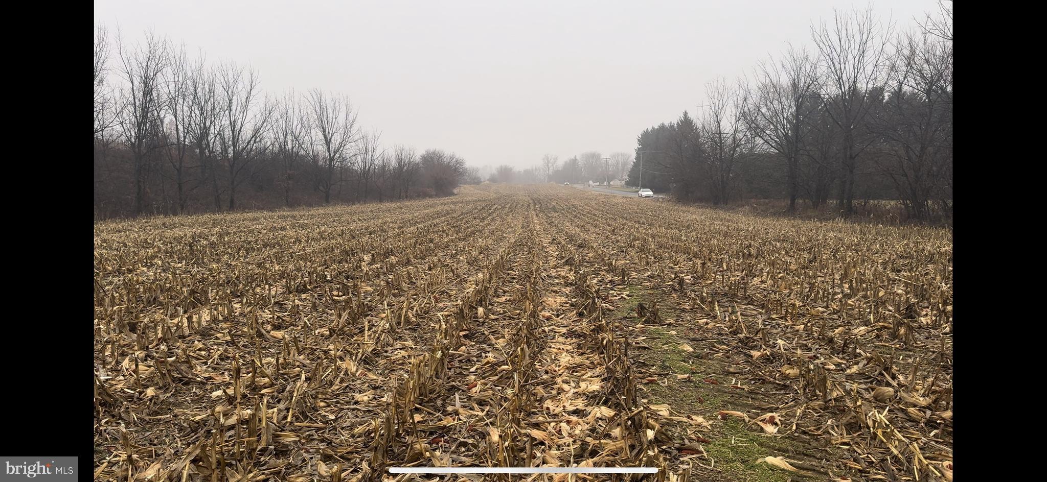 Jade Lane Bath, PA 18014 - Photo 9 of 15 a view of outdoor space and garden