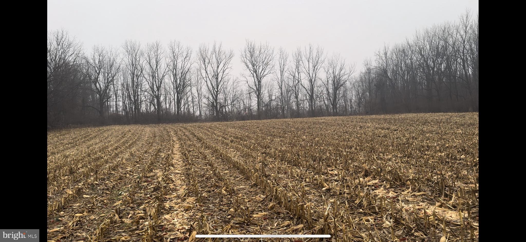 Jade Lane Bath, PA 18014 - Photo 10 of 15 a view of wooden floor