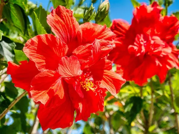 $299,000 | 3800 Saxon Drive, Unit 250, New Smyrna Beach, FL 32169