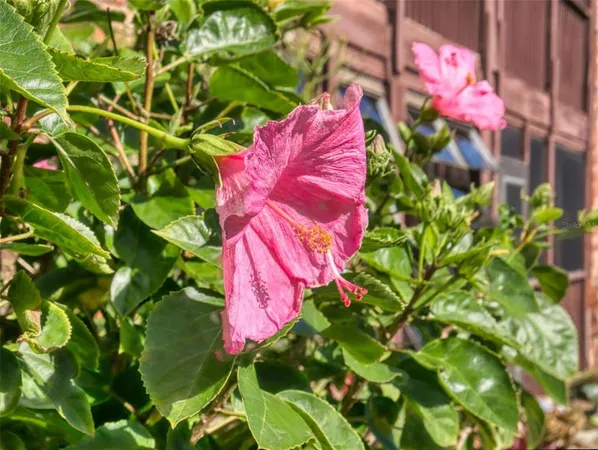 $299,000 | 3800 Saxon Drive, Unit 250, New Smyrna Beach, FL 32169