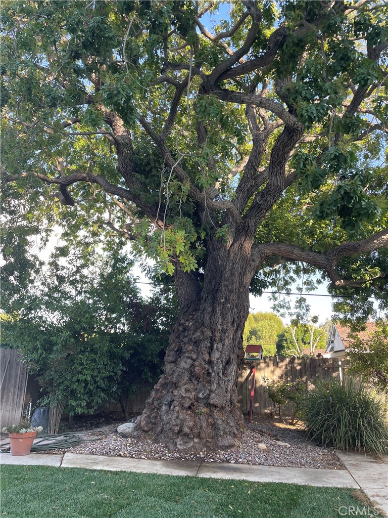 35 Ranchview Road Rolling Hills Estates, CA 90274 - Photo 26 of 35 a view of a yard