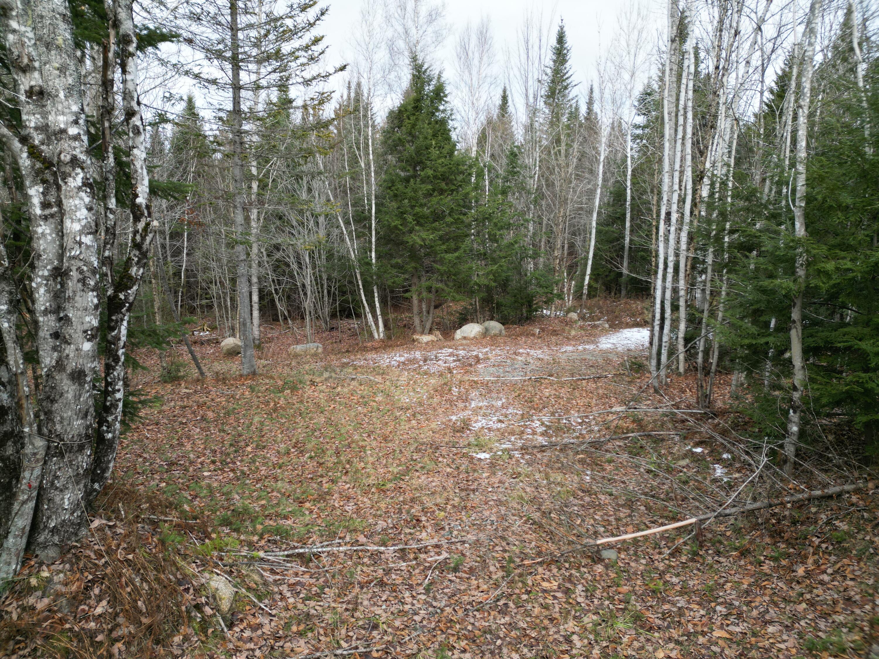 9 Upper Dobsis Road Lakeville, ME 04487 - Photo 2 of 29 DJI_0399