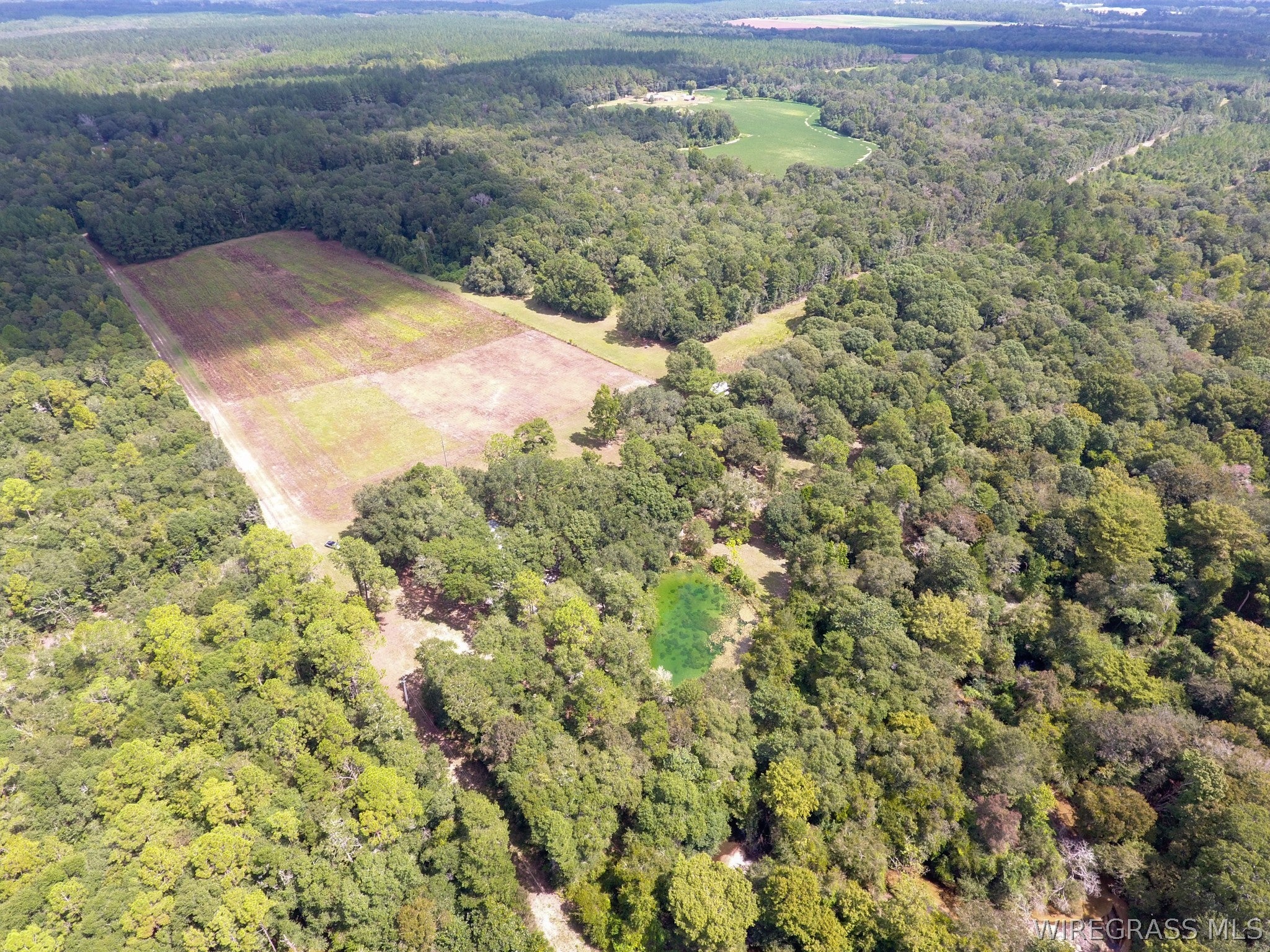 3433 Iron Bridge Road Samson, AL 36477 - Photo 63 of 64 Gallery Image 63
