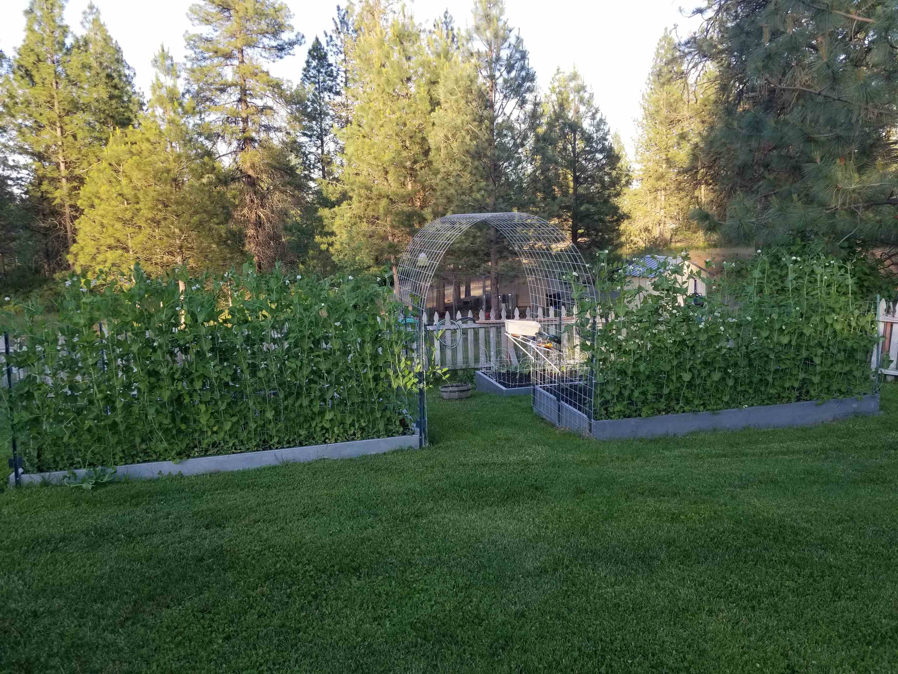15114 South Carstens Road Edwall, WA 99008 - Photo 33 of 40
