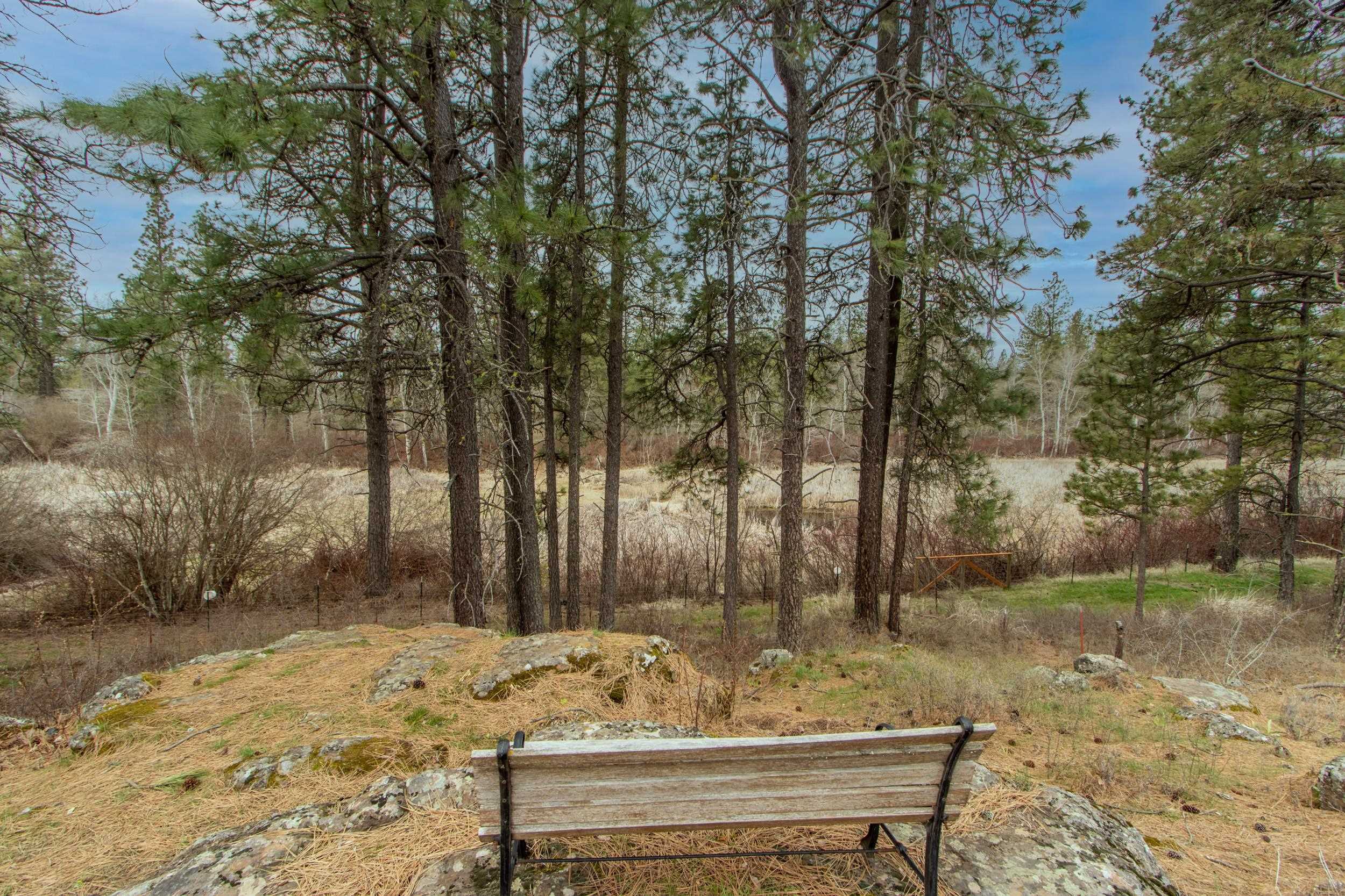 15114 South Carstens Road Edwall, WA 99008 - Photo 36 of 40