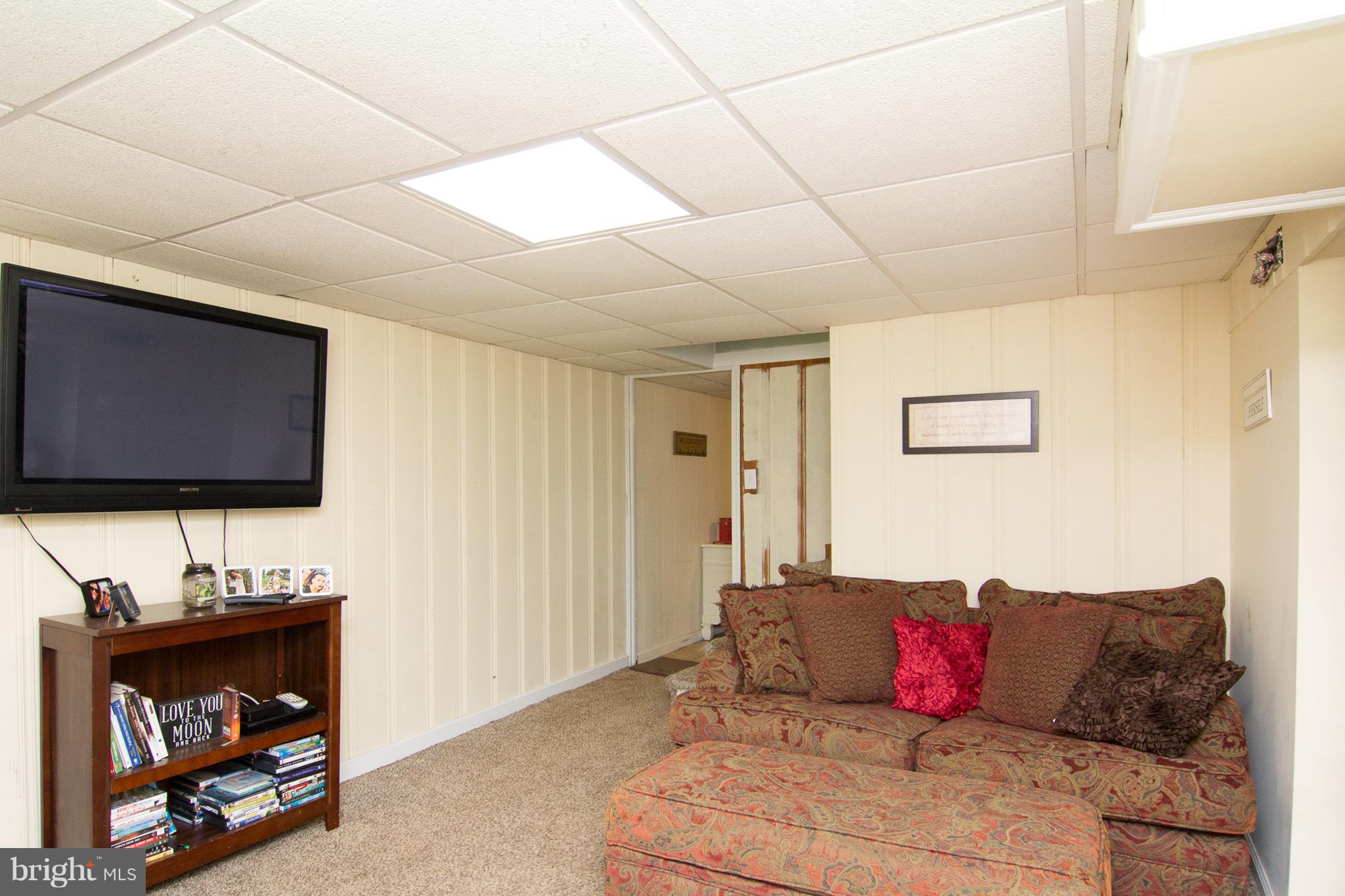 10505 Lester Street Silver Spring, MD 20902 - Photo 23 of 30 Basement living space.