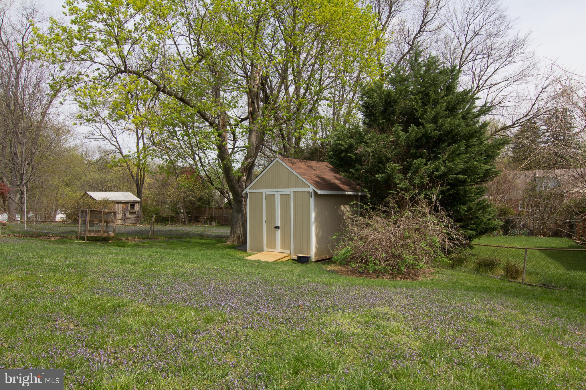 10505 Lester Street Silver Spring, MD 20902 - Photo 28 of 30 Back yard space and new shed!